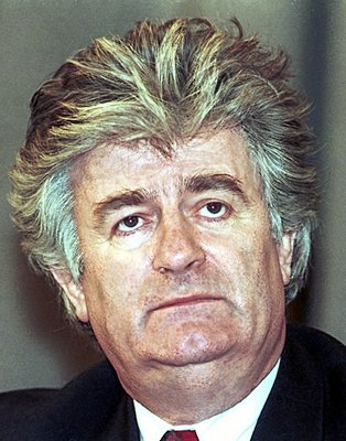 Lederen af de bosniske serbere Radovan Karadzic i 1994