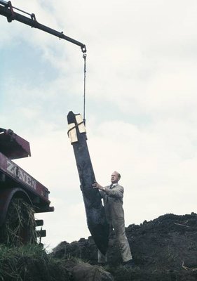 Under udgravningerne 1972-1982 trak man flere brostolper op af engen. Stolperne sad så godt fast, at man måtte bruge maskiner hertil. Foto: Nationalmuseet.