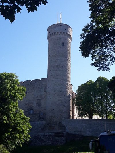 Tårnet Langer Hermann på borgen i Estlands hovedstad Tallinn