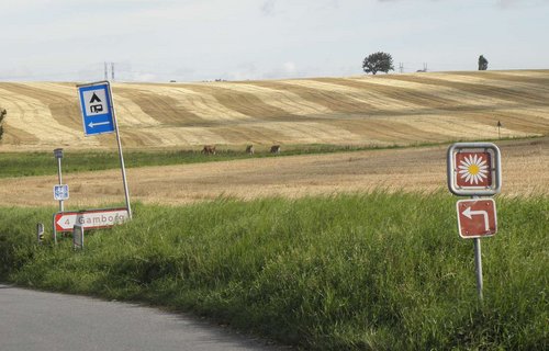 Et margueritrute-skilt stående i vejkanten tæt ved Gamborg på Fyn.