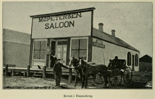 Kroen i Danneborg