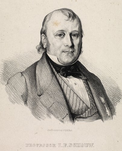 Professor Joachim Frederik Schouw