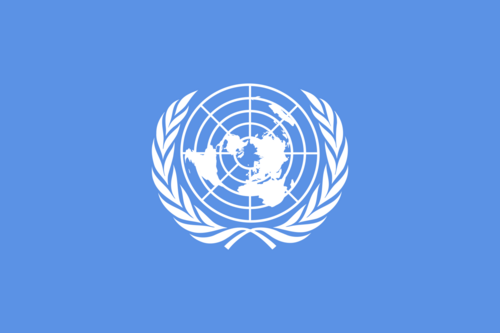 FN's flag 