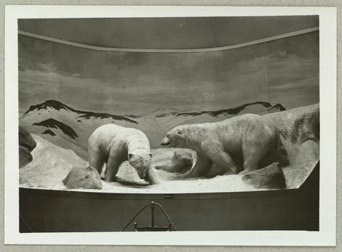 Tableau fra den grønlandske udstilling på den internationale koloniudstilling i Paris i 1931