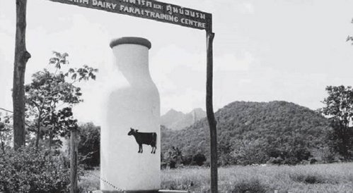 Thai-Danish Dairy Farm (Thaigården) i Muak Lek